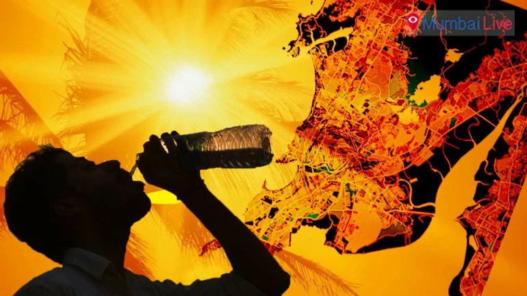 मुंबई में तापमान मंगलवार तक 35 डिग्री सेल्सियस तक पहुंच सकता है: आईएमडी