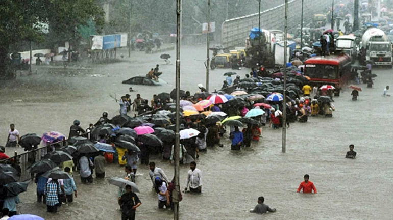 म्हणे, दिल्लीत मुंबईपेक्षा जास्त पाऊस! भूगोलाच्या पुस्तकातही घोळ