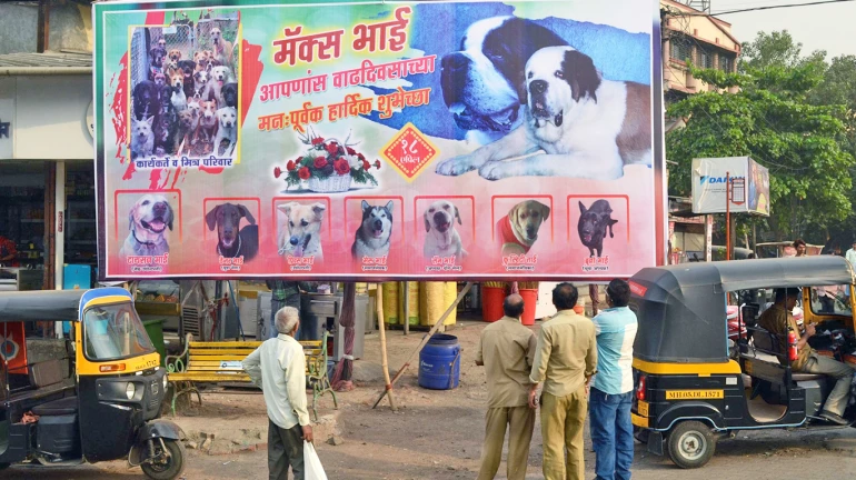 "Out Of 30,000 Hoardings, Only 335 Legal," Claims Vasai-Virar Civic Body