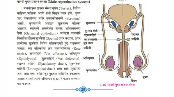 दहावीच्या विज्ञानातच चुकीचे 'ज्ञान', भूगोलानंतर याही पुस्तकात चुका!
