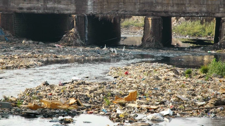 It is the state’s constitutional obligation to take steps to curb river pollution: HC