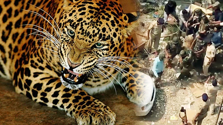 तेंदुए के हमले में संजय गांधी राष्ट्रीय उद्यान में गार्ड की मौत
