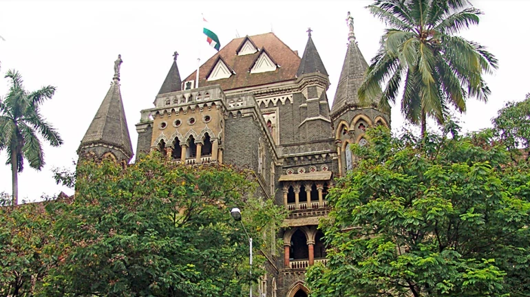 Don’t allocate any property to officials under government schemes: Bombay High Court