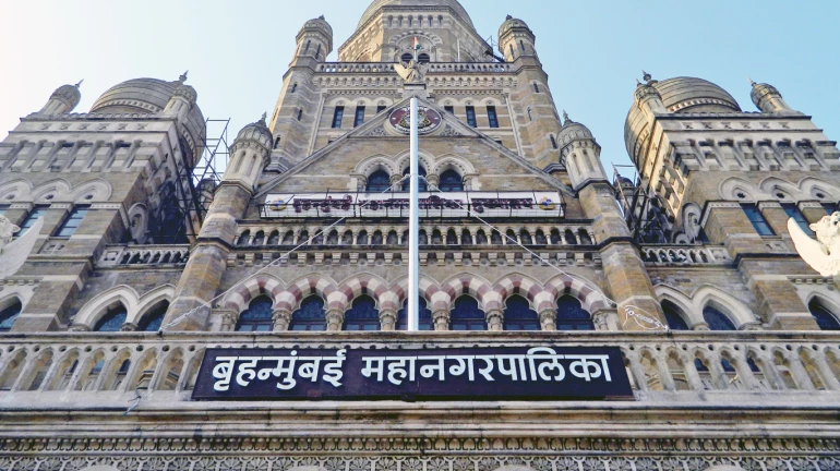 This monsoon, BMC all-set to fight Malaria and Dengue