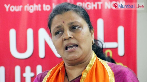 एलफिन्स्टन-टिळक पूल झाले जुने, पर्यायी पुलांची काय व्यवस्था?