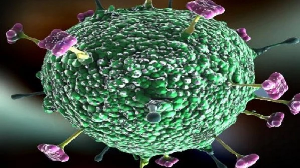 Health Deparment alerts Mumbai and Pune regarding Nipah virus