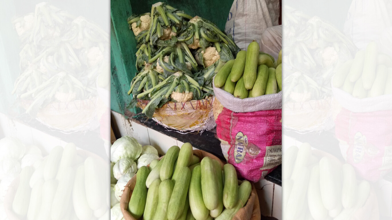 Urban Rooftop Farms to Provide Fresh Produce for Midday Meals in Mumbai Schools