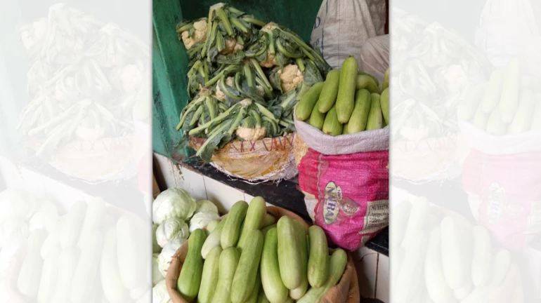 Urban Rooftop Farms to Provide Fresh Produce for Midday Meals in Mumbai Schools Urban Rooftop Farms to Provide Fresh Produce for Midday Meals in Mumbai Schools