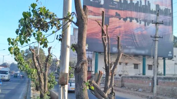 जाहिरातीसाठी झाडांच्या फांद्या छाटल्यास ४ पट शुल्क