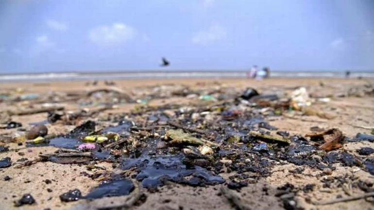 Over 950 Tonnes Trash Removed from 6 Mumbai Beaches in Week-long Cleaning Drive Over 950 Tonnes Trash Removed from 6 Mumbai Beaches in Week-long Cleaning Drive
