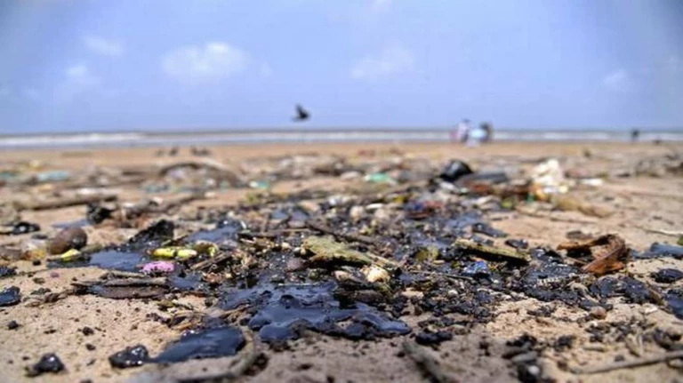 Over 950 Tonnes Trash Removed from 6 Mumbai Beaches in Week-long Cleaning Drive