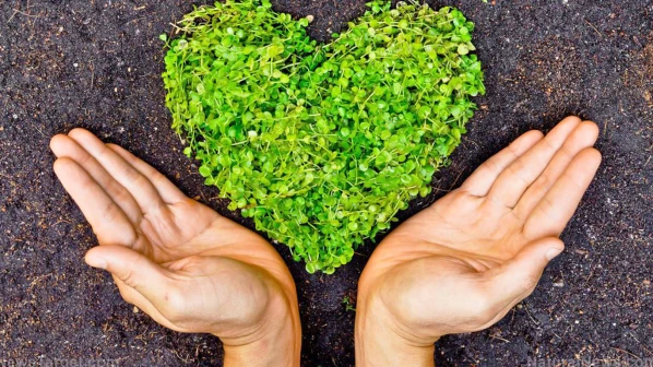 World Environment Day: Why can't the change begin with us?