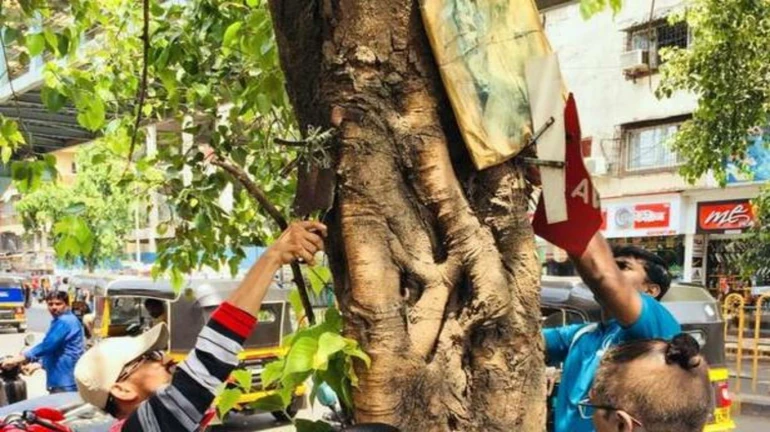 World Environment Day: When the youth join hands to free trees from pain