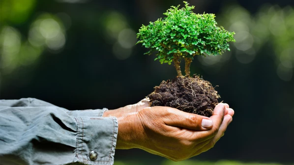 पर्यावरण दिन विशेष: मुंबईतल्या तरुणांनी केलं झाडांना वेदनामुक्त