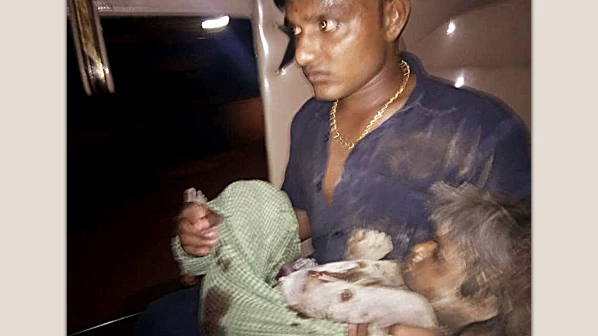 ५ वर्षांच्या चिमुरडीला खेचून भटक्या कुत्र्यांनी जंगलात नेलं, तरूणाने वाचवले प्राण