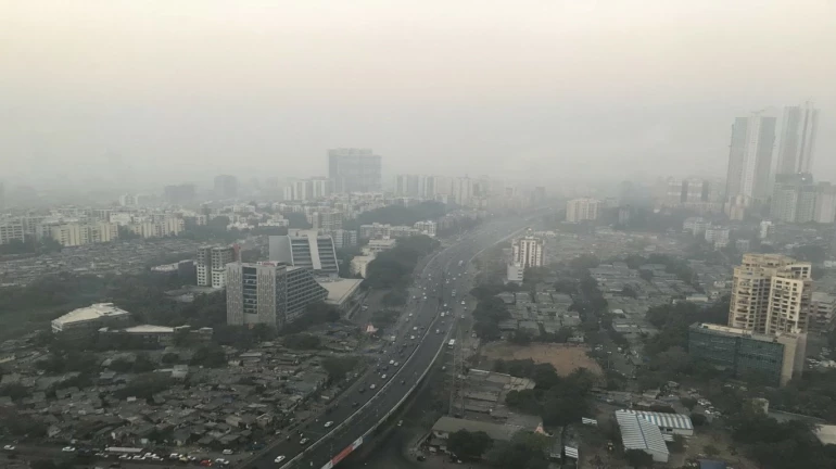 Air quality improves; Mumbaikars breathe fresh air