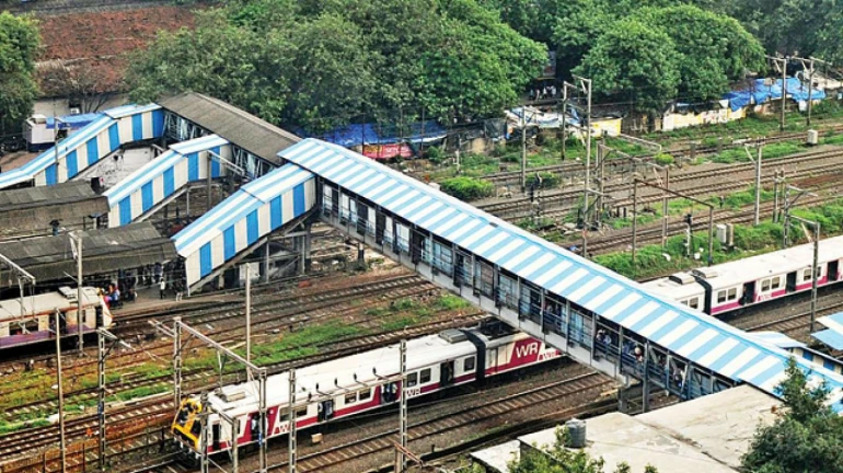 Mumbai Local News: Central Railway Decides To Cultivate Flowers On Land Near Railway Tracks