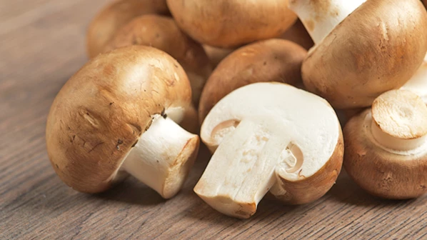 आरोग्यासाठी मशरूम वरदान!
