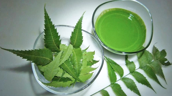 कडुनिंबाच्या पानांचा 'असा'ही वापर