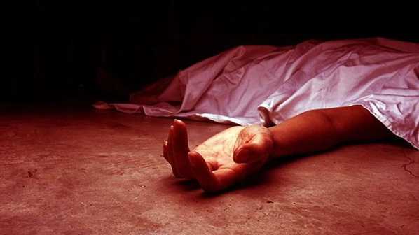 प्रॉपर्टीच्या वादातून मुलीसमोर आईची दगडाने ठेचून हत्या