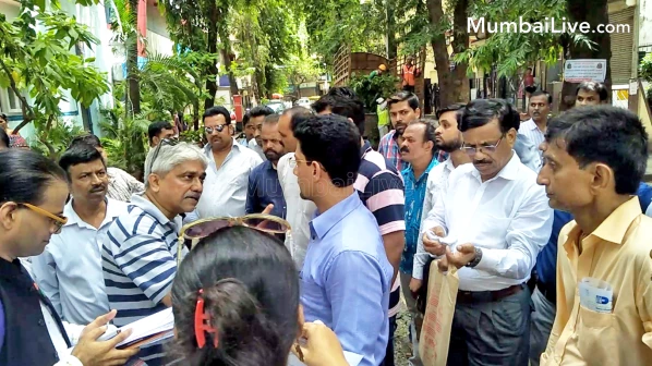 झाडांच्या कत्तलीवरून दादरमध्ये पर्यावरणवादी अन् पालिकेत जुंपली