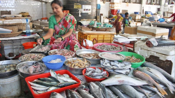 Provide plastic containers to fisherwomen: NCP group leader to BMC