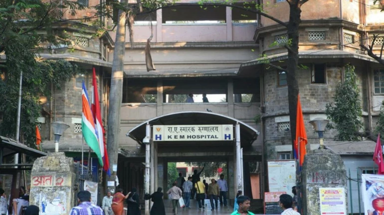 ​​​​​Free Medical Care for senior citizens in BMC hospitals