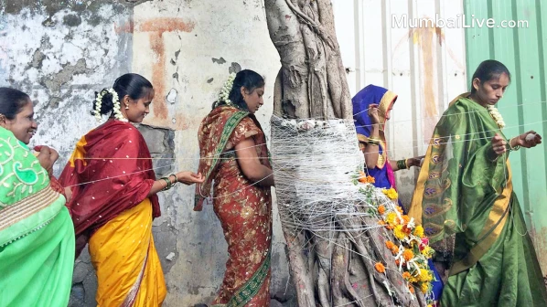 वडाचं झाड लावून साजरी करा वटपौर्णिमा