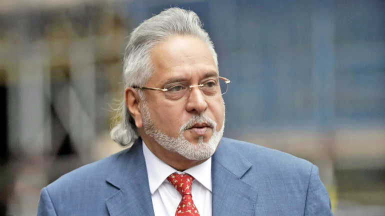 Vijay Mallya’s confiscated jet gets a bidder; Florida-based Aviation Management Sales buys it for meagre ₹34.8 crore