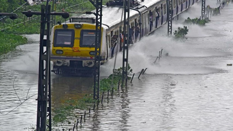 Mumbai recorded 13 wall collapse and 21 waterlogging incidents on Tuesday