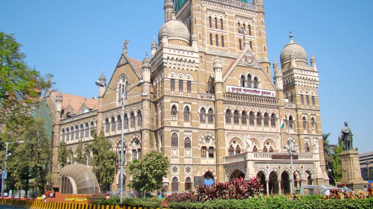 मुंबई महापालिकेत ७ सहाय्यक आयुक्त होणार रुजू