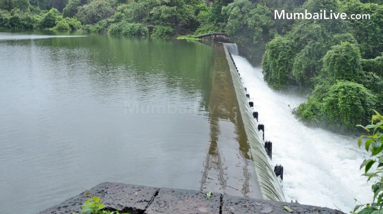 Mumbai: Decision to cut water till the end of June; Water in the dam will last 48 days
