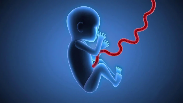 KEM अस्पताल में 2019 से 2024 तक 1176 नवजात शिशुओं की मौत KEM अस्पताल में 2019 से 2024 तक 1176 नवजात शिशुओं की मौत