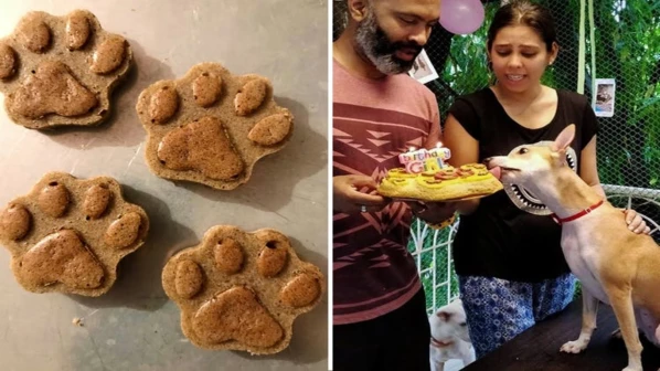 पेट्सचा वाढदिवस साजरा करायचाय? मग आहे ना 'पपकेक फॅक्टरी'
