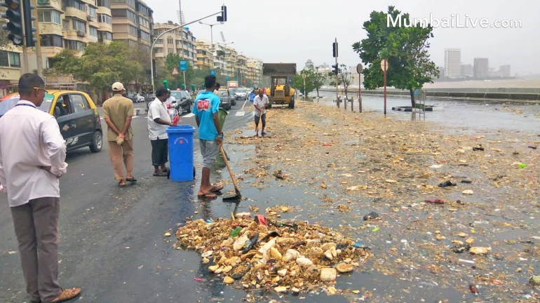 पालिकेनं करून दाखवलं! लाटांचा २०० मेट्रिक टन कचरा साडेतीन तासांत साफ