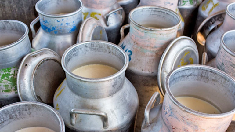 राज्यभरात १ लिटरही दूध संकलित झालं नाही, राजू शेट्टींचा दावा