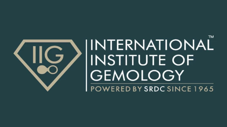 We want to provide affordable education at International Institute of Gemology: Rahul Desai