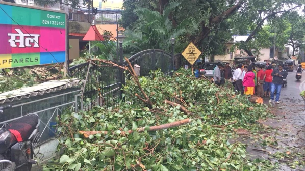 मुलुंडमध्ये चालत्या रिक्षावर झाडाची फांदी कोसळली, एकाचा मृत्यू