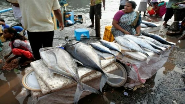 कोळीणींना नगरसेवक निधीतून बॉक्स द्या; सेना- भाजपाचीही मागणी