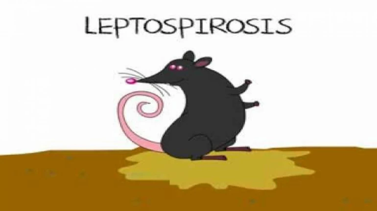 Mumbai Reports Surge In Leptospirosis cases - Here's All You Need To Know