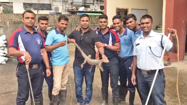 घर मे घुसी जंगली छिपकली, मौके पर पहुची अग्निशमन दल!