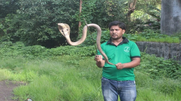 अधिकृत सर्पमित्रांशी अॅपवरून करा संपर्क