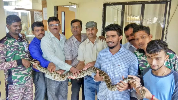 बांद्रा ब्रिज पर मिला 7 फुट लंबा अजगर