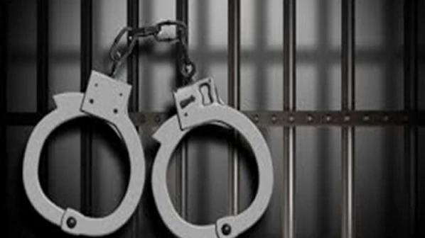 म्हणून महिलेने मालकालाच गंडवलं