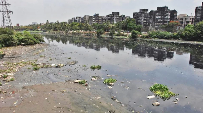 मिठी नदीचं शुद्धीकरण: पहिल्या टप्प्यात २११ कोटींचा खर्च