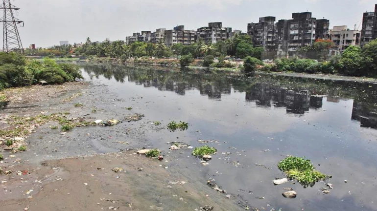 Environmentalists warn of flood risk due to landfilling near Mithi river at Aarey