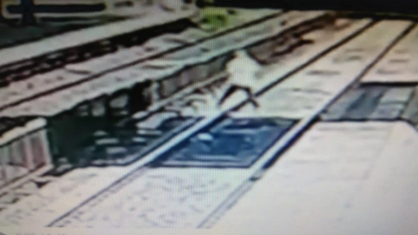 बीमारी से परेशान बुजुर्ग ने की आत्महत्या