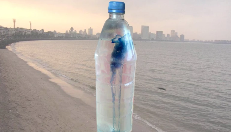 Chowpatty packed with Jellyfishes