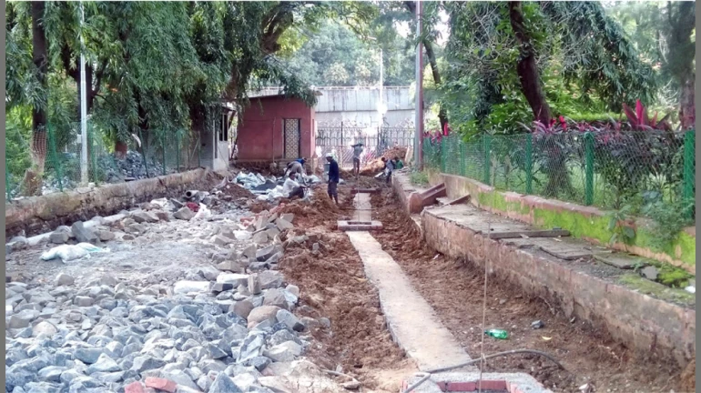 Mumbai Roads Get a Facelift Worth INR 10 Cr Ahead of G20 in December Mumbai Roads Get a Facelift Worth INR 10 Cr Ahead of G20 in December