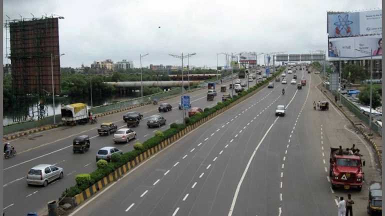 BMC To Beautify Dividers With 2,000 Bougainvillea on 20 Bridges BMC To Beautify Dividers With 2,000 Bougainvillea on 20 Bridges